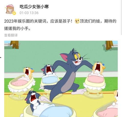 狗仔爆料最新动态图表,最新动态图表揭秘娱乐圈风云变幻